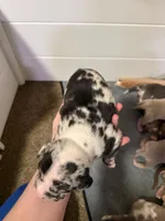 processed/4b413517-3242-4276-b4bc-a86dc4e3f2ae/listing/6695bdab-2d53-495a-a785-be7432fae2f7/9e6e188a-8456-4fda-8296-1c85dfcc96d3