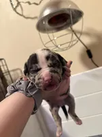 processed/4b413517-3242-4276-b4bc-a86dc4e3f2ae/listing/6695bdab-2d53-495a-a785-be7432fae2f7/d6a0c7a6-bb1b-4295-a2eb-c4f770b20384