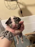 processed/4b413517-3242-4276-b4bc-a86dc4e3f2ae/listing/6695bdab-2d53-495a-a785-be7432fae2f7/dfd8c5c5-8d0e-41e8-9419-5656db9202db