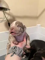 processed/4b413517-3242-4276-b4bc-a86dc4e3f2ae/listing/6c777be5-5f16-4f03-8056-103f29179697/1fcdfde2-b6bb-43b0-a86b-20270a467c2b