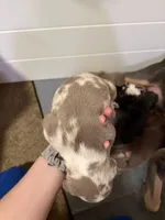 processed/4b413517-3242-4276-b4bc-a86dc4e3f2ae/listing/6c777be5-5f16-4f03-8056-103f29179697/2c30d635-6286-4409-a66b-a4869661d91d