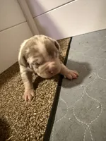 processed/4b413517-3242-4276-b4bc-a86dc4e3f2ae/listing/6c777be5-5f16-4f03-8056-103f29179697/52e8fbb8-46cb-4ed2-9421-84f3674063ac