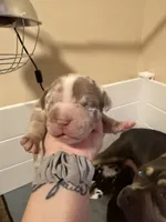 processed/4b413517-3242-4276-b4bc-a86dc4e3f2ae/listing/6c777be5-5f16-4f03-8056-103f29179697/95b2b294-4b1b-4964-8265-818260ef99ce