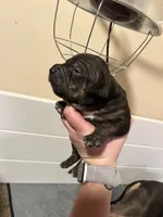 processed/4b413517-3242-4276-b4bc-a86dc4e3f2ae/listing/8d6980e1-caa4-49a5-aee2-8d927f25bd13/8adcb25e-2309-4fd4-a78b-85de540d1b4b