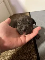 processed/4b413517-3242-4276-b4bc-a86dc4e3f2ae/listing/8d6980e1-caa4-49a5-aee2-8d927f25bd13/a8e6c81f-adcd-4427-a9d3-574130b63675