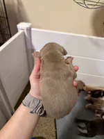 processed/4b413517-3242-4276-b4bc-a86dc4e3f2ae/listing/9b6d914c-f7f4-40fb-932a-aced8b9b7aea/5cab3a53-a6e2-4efb-b4a1-eace1757494d