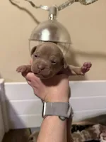 processed/4b413517-3242-4276-b4bc-a86dc4e3f2ae/listing/9b6d914c-f7f4-40fb-932a-aced8b9b7aea/c538f75a-2765-4f7b-a041-0218411d165e