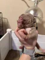 processed/4b413517-3242-4276-b4bc-a86dc4e3f2ae/listing/9b6d914c-f7f4-40fb-932a-aced8b9b7aea/c9ba7044-613f-464f-b0fe-6b38245231d9