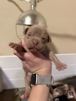 processed/4b413517-3242-4276-b4bc-a86dc4e3f2ae/listing/9b6d914c-f7f4-40fb-932a-aced8b9b7aea/e2a395f7-9aa1-431b-a51f-e7b46c8e94f1