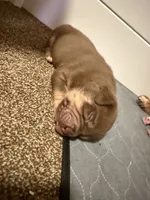 processed/4b413517-3242-4276-b4bc-a86dc4e3f2ae/listing/9e4b96ff-5cf3-4629-9a78-975acf0e6bd8/256b93e3-ee7a-4fd7-924b-127f77375b9f