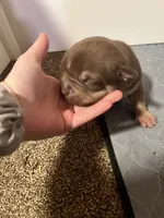 processed/4b413517-3242-4276-b4bc-a86dc4e3f2ae/listing/9e4b96ff-5cf3-4629-9a78-975acf0e6bd8/57f397c7-27dc-497d-8ea1-d6aaa974f219