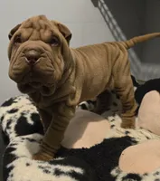 processed/4b442185-7009-4353-bdba-b8a3016c8cca/listing/48915fd1-f620-4262-ab53-13af09ff9da7/1c7e34e5-5d00-4dea-90de-230b6eea8d24