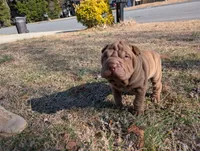 processed/4b442185-7009-4353-bdba-b8a3016c8cca/listing/48915fd1-f620-4262-ab53-13af09ff9da7/28da987c-23d1-4b87-8c75-6cceb805fb83