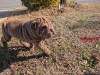 processed/4b442185-7009-4353-bdba-b8a3016c8cca/listing/48915fd1-f620-4262-ab53-13af09ff9da7/3463dcb5-bb46-4fa0-b6c6-3f8541303476