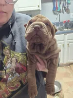 processed/4b442185-7009-4353-bdba-b8a3016c8cca/listing/48915fd1-f620-4262-ab53-13af09ff9da7/519e9afb-475f-4cd9-91e2-be08dcf0a8a6