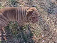 processed/4b442185-7009-4353-bdba-b8a3016c8cca/listing/48915fd1-f620-4262-ab53-13af09ff9da7/9e7ceaa0-a52f-48b0-a1f5-3cee6ebb6f3c