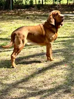 processed/4b4f8062-8335-4092-a4b7-e57cd2fafbbc/listing/62535c73-b83e-4ca2-b34d-2f28c040ad56/05fce07e-a7e0-4a63-a059-31d304ad6911