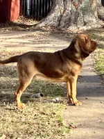 processed/4b4f8062-8335-4092-a4b7-e57cd2fafbbc/listing/62535c73-b83e-4ca2-b34d-2f28c040ad56/645eb8da-5b15-4e68-95fd-6dcd05eb7893