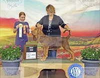 processed/4b4f8062-8335-4092-a4b7-e57cd2fafbbc/listing/62535c73-b83e-4ca2-b34d-2f28c040ad56/67d7c73c-c6b7-44b6-9cad-595cf98db1a4