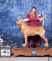 processed/4b4f8062-8335-4092-a4b7-e57cd2fafbbc/listing/62535c73-b83e-4ca2-b34d-2f28c040ad56/7f0efbc6-1da4-491b-8c84-e827fd864c38