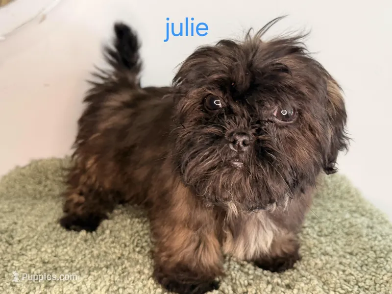 JULIE