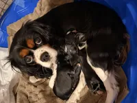 processed/4b63712d-cf2a-42b3-8dc0-067278871fbc/facility/01ae7e44-c37d-40fb-9ede-4b3675ba57dd