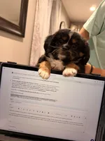 processed/4b63712d-cf2a-42b3-8dc0-067278871fbc/facility/01fcf443-0f82-4a6e-977e-f49d8dfe6446