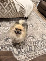 processed/4b63712d-cf2a-42b3-8dc0-067278871fbc/facility/21f7412f-9967-4e12-bfcb-c6efe210f761