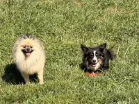 processed/4b63712d-cf2a-42b3-8dc0-067278871fbc/facility/23eda9b1-f5b4-4ce2-9a19-be350ab77446