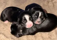 processed/4b63712d-cf2a-42b3-8dc0-067278871fbc/facility/542db759-0097-445c-9509-76b2ecd96c20