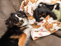 processed/4b63712d-cf2a-42b3-8dc0-067278871fbc/facility/5c81ee08-0c3b-405e-a67f-6d1b85cb1578