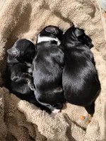 processed/4b63712d-cf2a-42b3-8dc0-067278871fbc/facility/62fc54dd-98ba-48ad-a7e1-badbd92a0e69