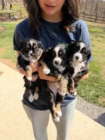 processed/4b63712d-cf2a-42b3-8dc0-067278871fbc/facility/8700bb8c-6e52-4fcb-afa1-ed625516e171