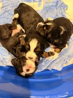 processed/4b63712d-cf2a-42b3-8dc0-067278871fbc/facility/dce474b3-abb0-48d6-8d40-3cdd5e1484c9