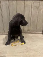 processed/4b68f899-876d-4d08-b1d9-5c843181cd55/listing/357f9ed5-df81-453a-84e3-254e47d86f0e/1d6fd0b4-579f-4a37-ac57-453250fd4070