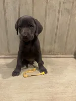 processed/4b68f899-876d-4d08-b1d9-5c843181cd55/listing/357f9ed5-df81-453a-84e3-254e47d86f0e/592a7381-a944-4ff3-a0ae-4d79ca55a7e1