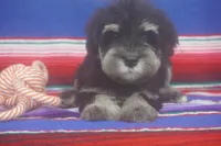 processed/4b6d101e-c424-4cbc-be15-3d7be3986dd9/listing/b814f615-2aff-48b1-920d-03b06126fd3f/053bca55-1feb-437e-9e06-8bacfe305dcf