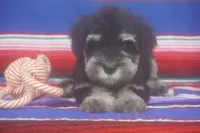 processed/4b6d101e-c424-4cbc-be15-3d7be3986dd9/listing/b814f615-2aff-48b1-920d-03b06126fd3f/0924e3dc-7a67-42e5-bf74-69996882b20d