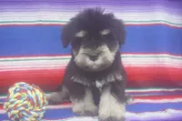 processed/4b6d101e-c424-4cbc-be15-3d7be3986dd9/listing/b814f615-2aff-48b1-920d-03b06126fd3f/3bb6607b-0797-4539-8920-fb73d223735b