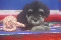 processed/4b6d101e-c424-4cbc-be15-3d7be3986dd9/listing/b814f615-2aff-48b1-920d-03b06126fd3f/68ce3519-479e-49c8-b5c5-2e9cac95589c