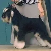 processed/4b6d101e-c424-4cbc-be15-3d7be3986dd9/listing/b814f615-2aff-48b1-920d-03b06126fd3f/6f49e44e-689c-43d3-8726-86b1e56fae88