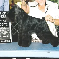 processed/4b6d101e-c424-4cbc-be15-3d7be3986dd9/listing/b814f615-2aff-48b1-920d-03b06126fd3f/a06d236c-c1c3-4e1b-b168-398cbde91356