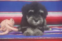 processed/4b6d101e-c424-4cbc-be15-3d7be3986dd9/listing/b814f615-2aff-48b1-920d-03b06126fd3f/e88dcf81-4c10-47a1-8e09-1483e415a2f9