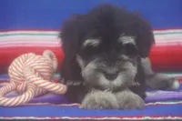 processed/4b6d101e-c424-4cbc-be15-3d7be3986dd9/listing/b814f615-2aff-48b1-920d-03b06126fd3f/f49c3298-3841-4e93-a463-1c3636ba20c7