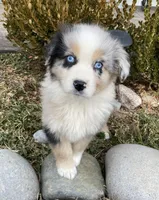 processed/4b6f4433-0775-442a-b5e6-110ef1a1c584/facility/2d7f30cd-6b00-462a-aa93-4053ce7e29c1