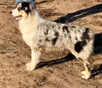 processed/4b6f4433-0775-442a-b5e6-110ef1a1c584/facility/8797cb64-67fd-415b-b639-eb85422f7591