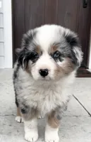 processed/4b6f4433-0775-442a-b5e6-110ef1a1c584/facility/9271606c-3b1f-4096-8fbb-2c6bcd5fb8e0