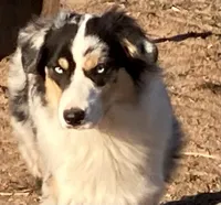 processed/4b6f4433-0775-442a-b5e6-110ef1a1c584/facility/972a1de7-b6ee-44de-816a-e364e50788a2