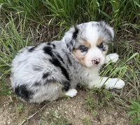 processed/4b6f4433-0775-442a-b5e6-110ef1a1c584/facility/c8b2e72a-3e77-475f-8a54-b65c5cb960d9