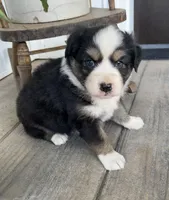 processed/4b6f4433-0775-442a-b5e6-110ef1a1c584/facility/dd7b90b5-c868-4943-b0cb-32e950d839e1